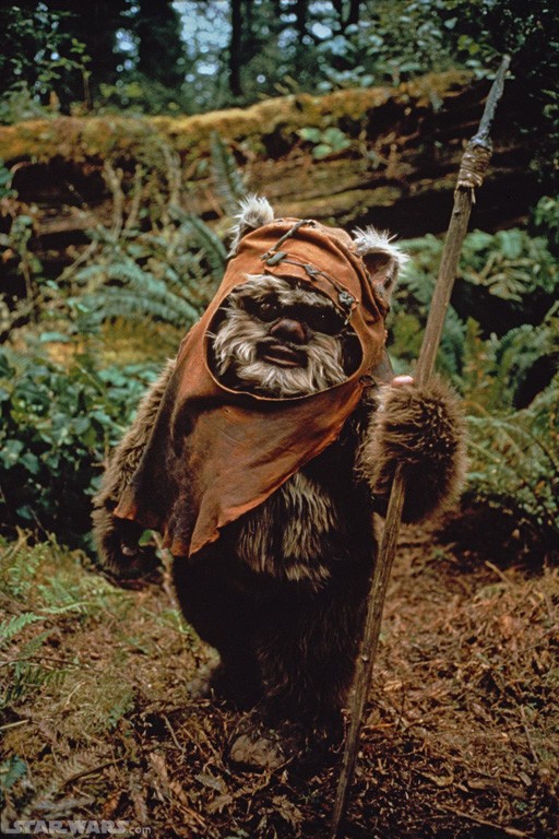 wicket-ewok-return-of-the-jedi Yub yub? Yub YES!