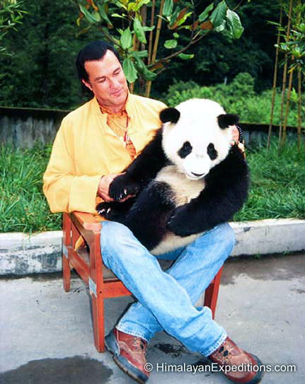 Steven_Seagal_Panda_r1i23.jpg