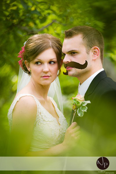 lucas-stache