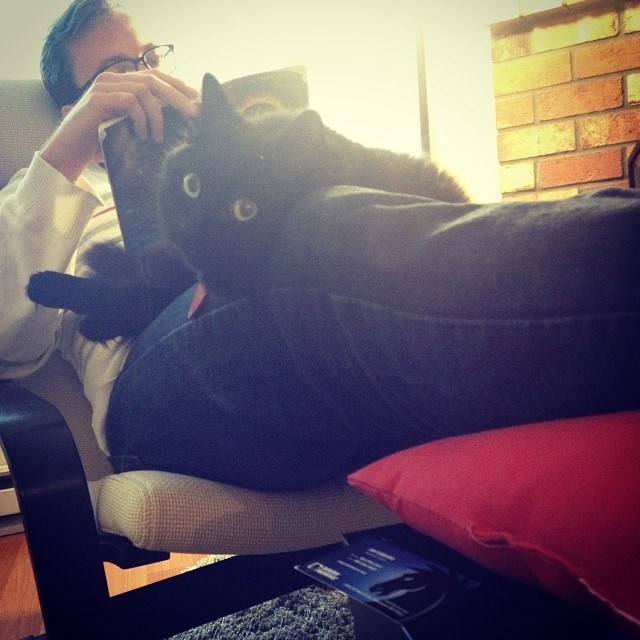 2013's #1 reading buddy.